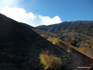nte Zappinazzo-04-11-2012 10-49-26